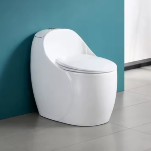 Sanitario de una pieza en cerámica con diseño minimalista - CasaNova Colombia