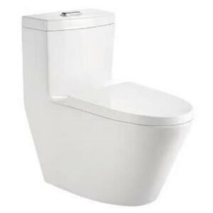 Sanitario One Piece Blanco – Diseño Moderno - CasaNova Colombia