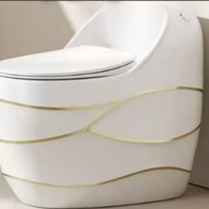 Sanitario de una pieza en cerámica con diseño minimalista - CasaNova Colombia